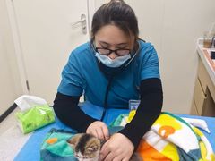 -美联众合动物医院·24h京西诊疗中心