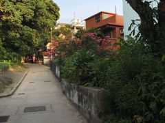 -南丫岛