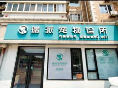 -瑞派宠物医院·犬猫全科·猫友好(宾水西道店)