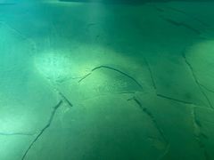 -白鹤梁水下博物馆