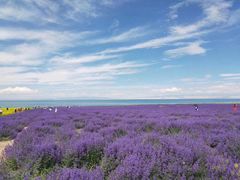 -青海湖国家重点风景名胜区