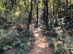 -虞山风景区