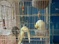 -潇湘·永州会馆(百子湾店)