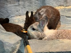 -Zoolung Zoolung动物主题公园(海信广场店)