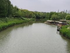 -上海长兴岛郊野公园