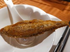 -渔太泰漓江小馆·广西融合菜(西街店)