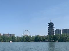 -洋湖国家湿地公园