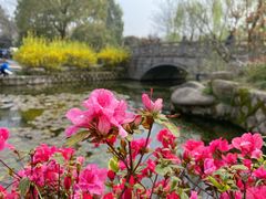 -杭州城北体育公园