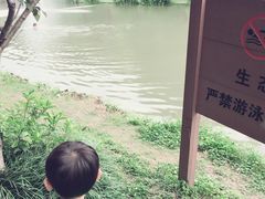-新江湾城公园