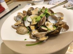 炒花蛤-福来齐·鲁菜海鲜·渔家菜(朝阳街分店)
