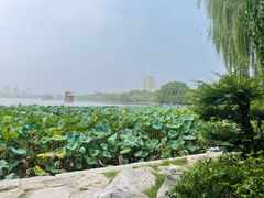 -济南大明湖景区