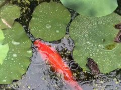 -丝绸小镇荻港古村