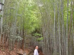 -敬亭山风景名胜区