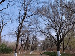 -永定河休闲森林公园