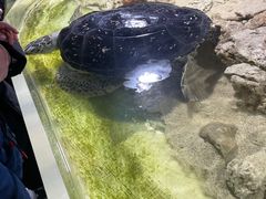 -嘉兴海底世界