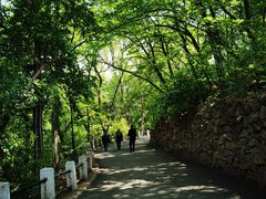 -北山公园