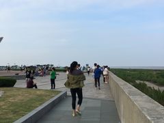 -南汇嘴观海公园