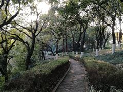 -上海市保健医疗中心(华东疗养院)