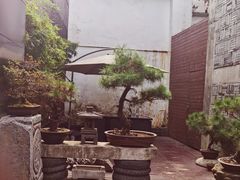 -觀芷隐轩