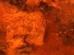 -探鱼·鲜青椒爽麻烤鱼(番禺万达店)