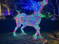 -南宫五洲植物乐园