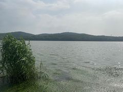 -水上明月·湖景餐厅
