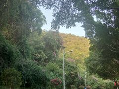 -仙岳公园