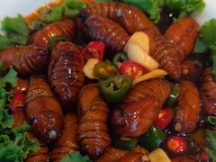 -拾柴熏酱-鲜虾水饺(群力店)