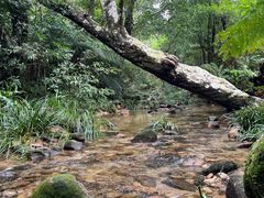 -海南热带雨林国家公园吊罗山景区