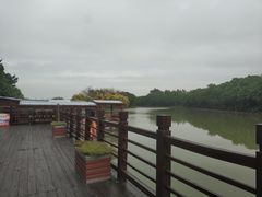 -大湾区中央湿地公园