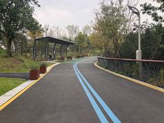 -飞凤山奥体公园