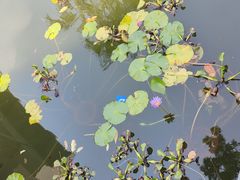 -沃尔玛购物广场(东莞凤岗中心分店)