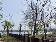 -天津东丽湖风景区