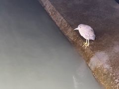 -苏州河梦清园环保主题公园