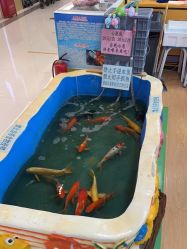 -汇乐童儿童主题乐园(李老社区商业中心店)