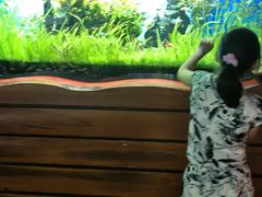 -太平洋海底世界