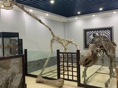 -游龙石文化科普馆