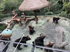 -深圳野生动物园