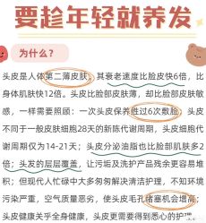 -Bollins波林丝•专研护发中心