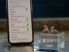 -惠耳听力助听器(霍邱新蓼大道店)