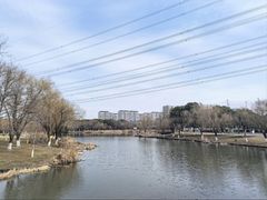 -九里河湿地公园