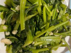 -煲来饱去冷水鱼