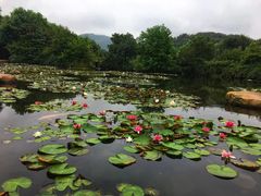 -白马涧龙池景区