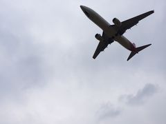 -空港花田景区