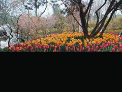 -南山植物园