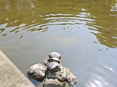 -什邡罗汉寺