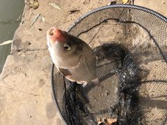 -酷鱼垂钓CLUB(朝阳区博大路店 )