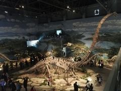 -自贡恐龙博物馆