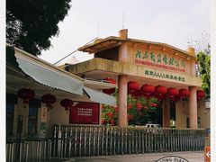 -广东茂名森林公园