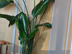 -粤界(望京金辉店)